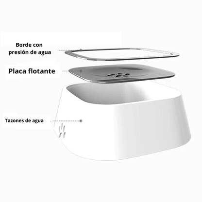 BebePaw 🐾- Bebedero para perro florante