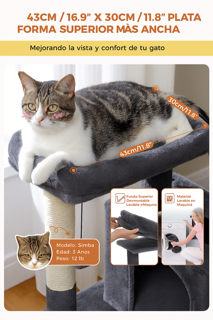 🐾 Árbol para Gatos