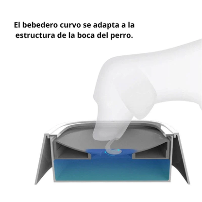 BebePaw 🐾- Bebedero para perro florante